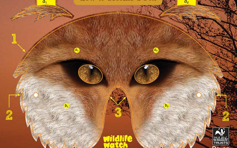 Devon Wildlife Trust, fox mask