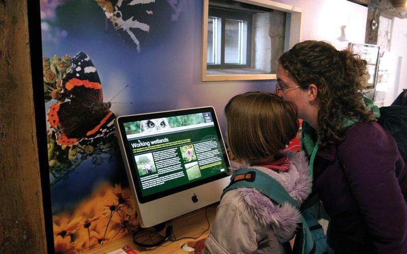 Activities for children in the digital interactive suite