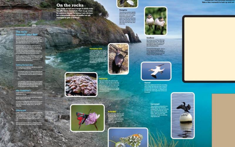 Interpretation panel artwork: Section 1 of wildlife wall panel, showing cut-out areas for touchscreen interactive